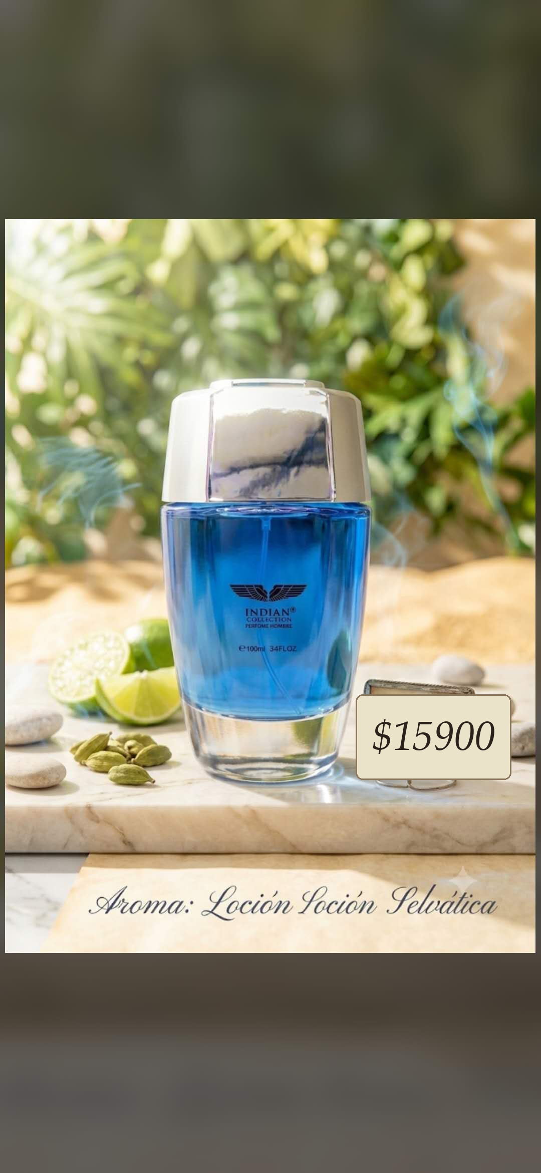 Men's selvatica perfume display.